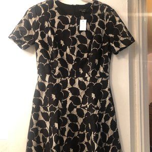 *NWT* Ann Taylor Lace Dress
